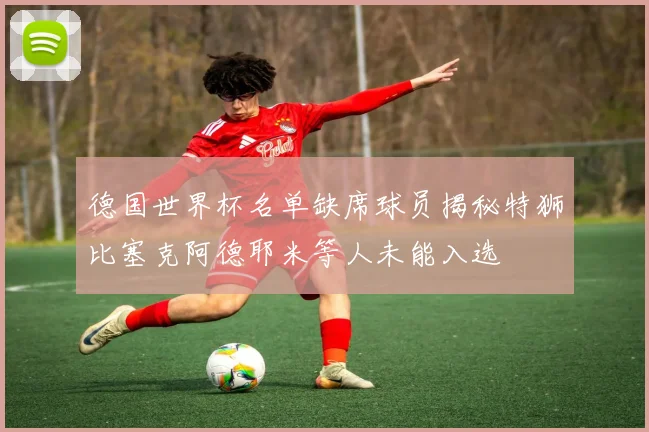 德国世界杯名单缺席球员揭秘特狮比塞克阿德耶米等人未能入选